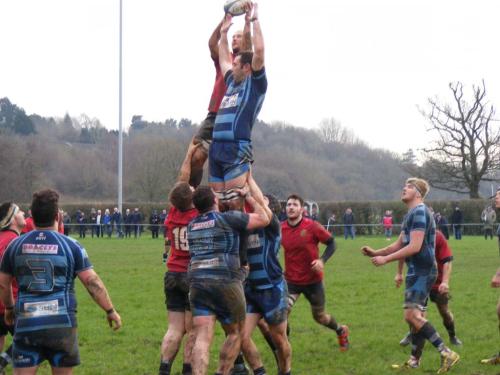 Kenfig in the plate